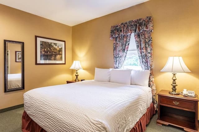 Standard Room, 1 King Bed, Non Smoking