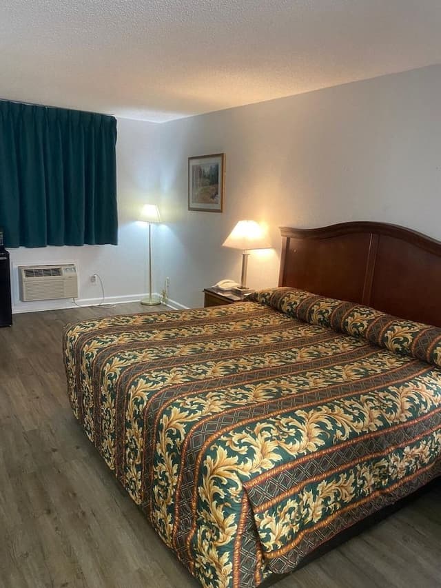 Room, 1 King Bed