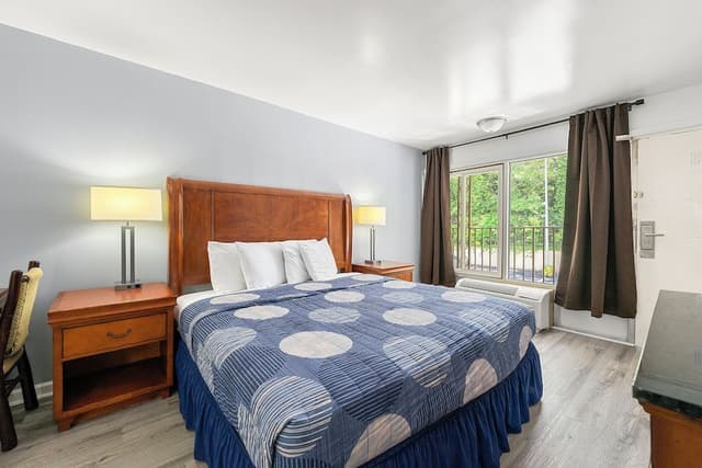 Deluxe Studio, 1 King Bed, Kitchenette