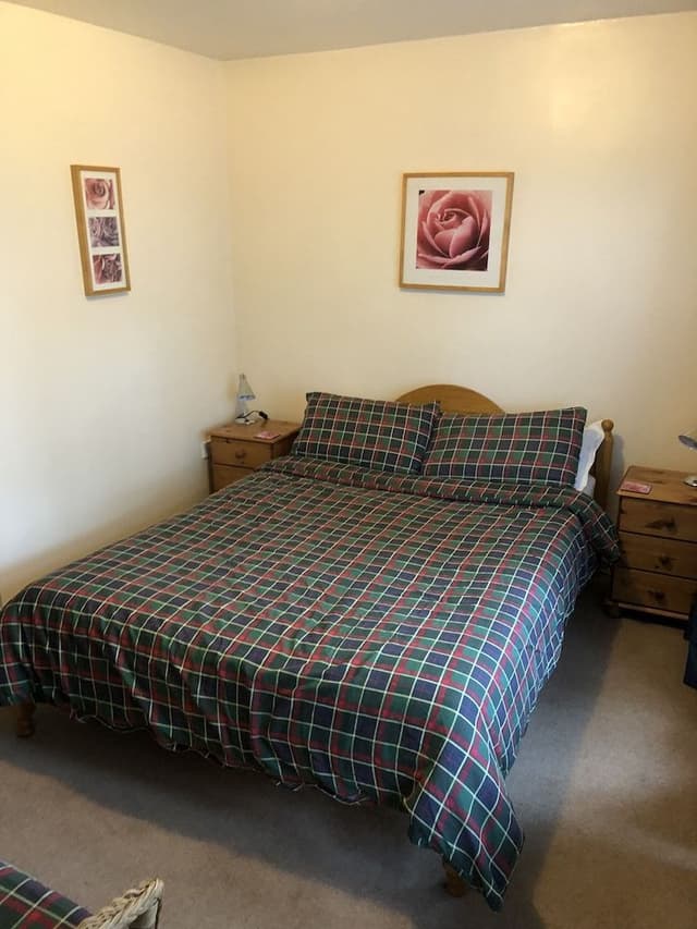 Room, 1 King Bed, Non Smoking