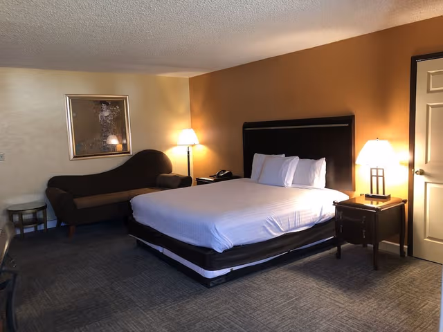 Standard Room, 1 King Bed, Non Smoking
