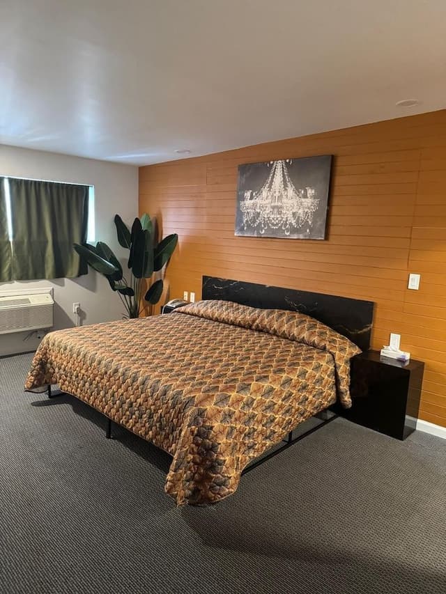 Standard Single Room, 1 King Bed