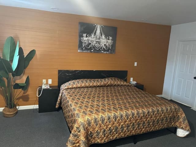 Standard Single Room, 1 King Bed