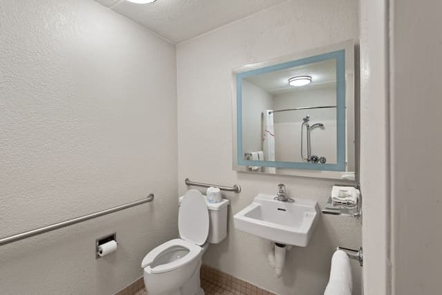 Standard Room, 1 King Bed, Accessible (Smoke Free, Roll-In Shower)