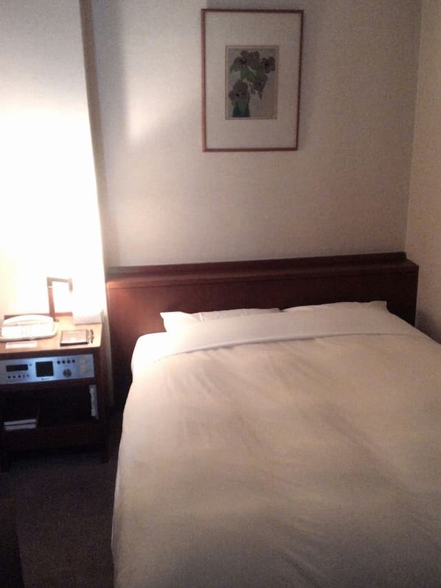 Double Room for 1 Guest, Smoking