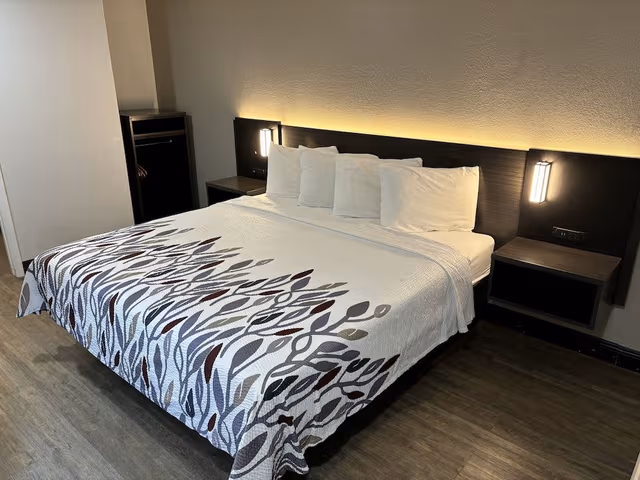 Superior Room, 1 King Bed, Smoking