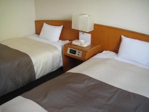 Deluxe Twin Room - Non-Smoking