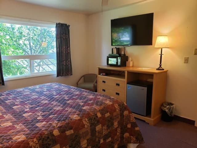 Room, 1 King Bed