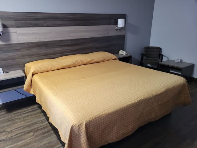 Room, 1 King Bed