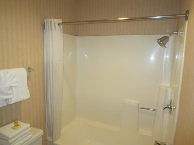 Studio Suite, 1 King Bed with Sofa bed, Kitchen