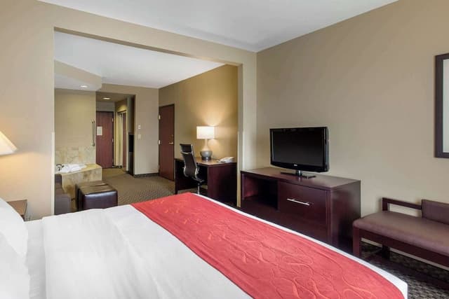 Suite, 1 King Bed with Sofa bed, Non Smoking, Jetted Tub
