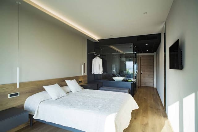 Business Room, 1 Double Bed, Non Smoking, Valley View