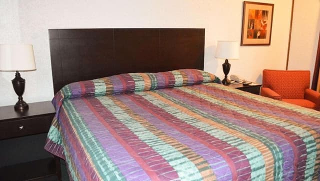 Deluxe Single Room, 1 Queen Bed, Non Smoking, Jetted Tub