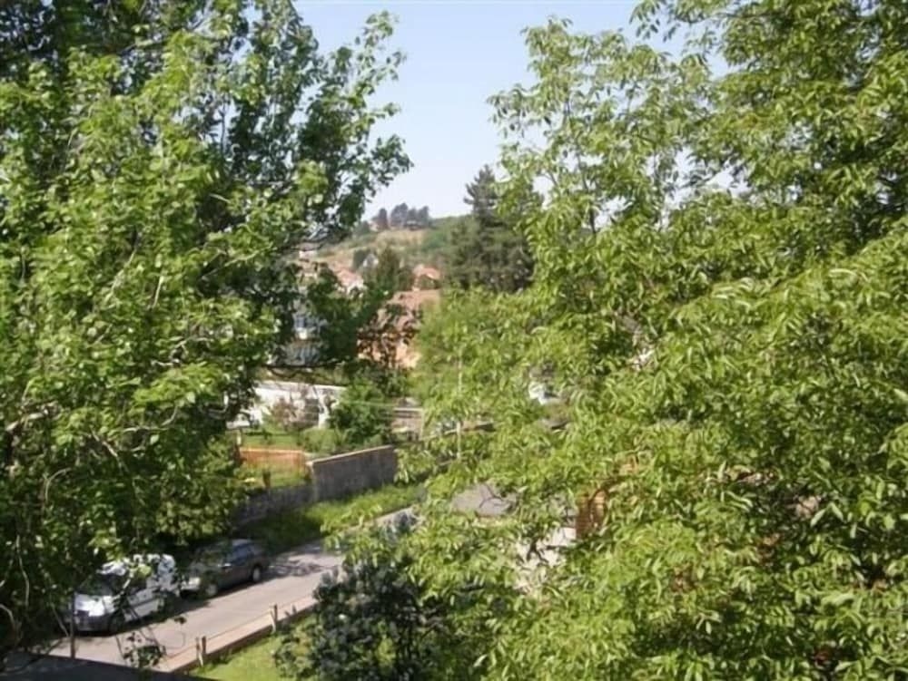 Villa Bellevue Dresden2