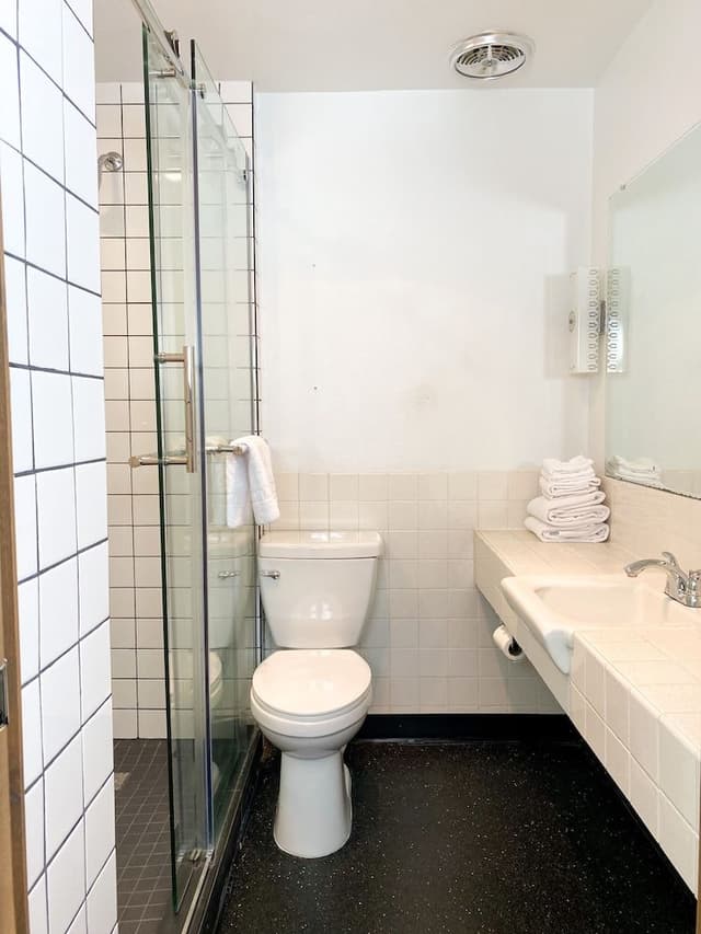 Studio Kitchenette with 2 King Beds & 1 Twin Bunk Bed (Dog Friendly)