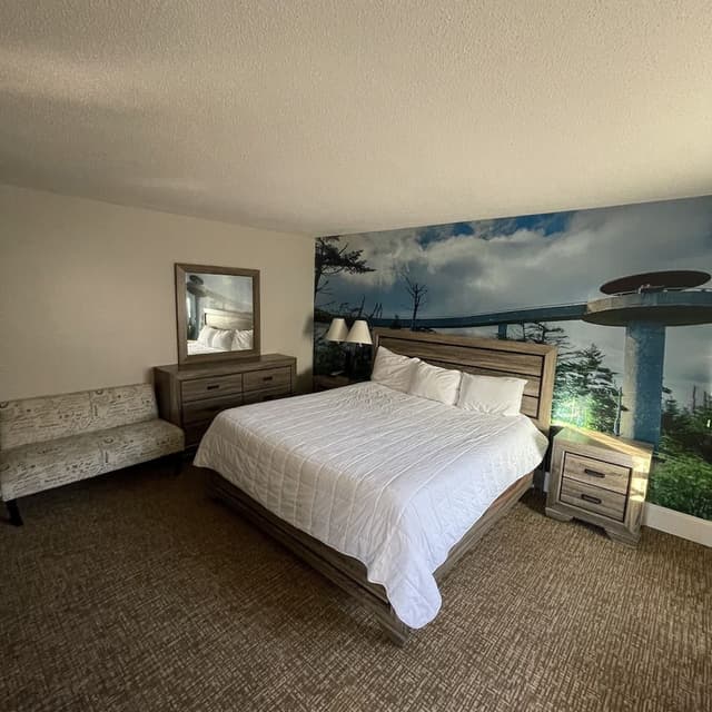 Room, 1 King Bed