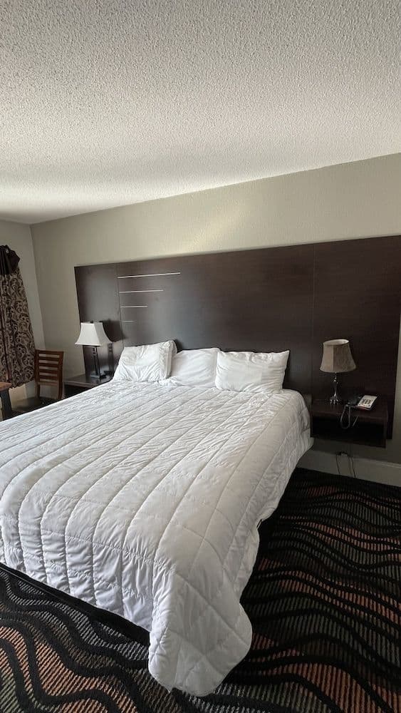 Room, 1 King Bed