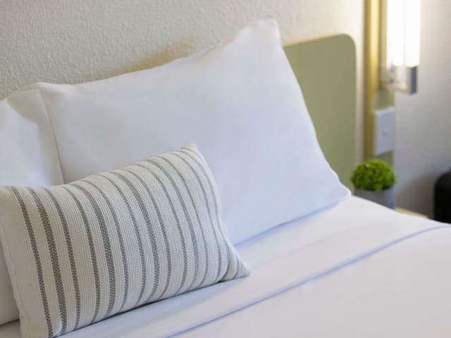 Room, Multiple Beds