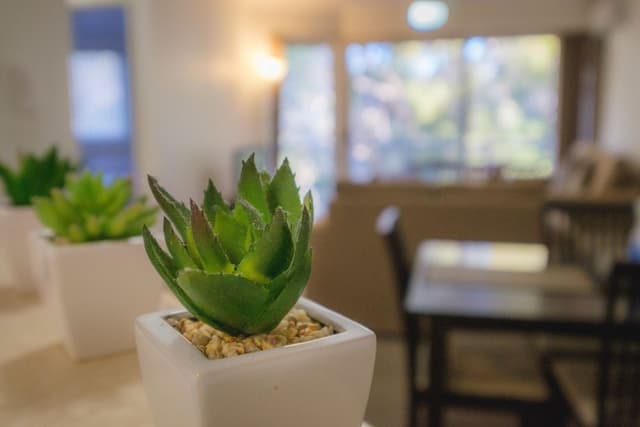 2 Bedroom - Air-Con- Garden views