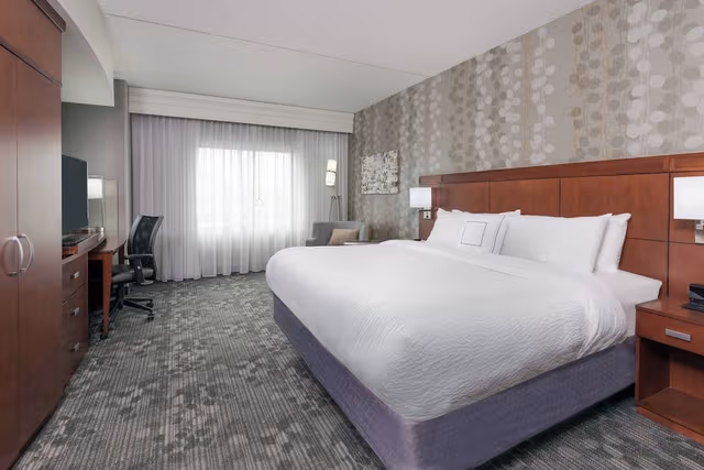 Room, 1 King Bed with Sofa bed