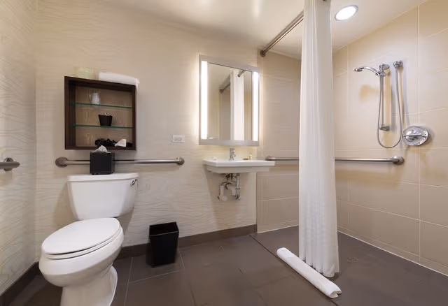 Room, 1 King Bed, Accessible (Roll-in Shower)
