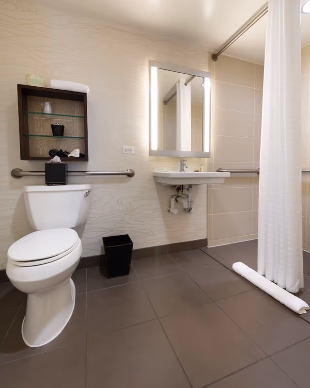 Room, 1 King Bed, Accessible (Roll-in Shower)