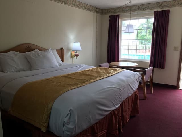 Classic Single Room, 1 King Bed