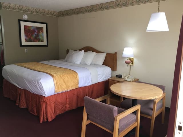 Classic Single Room, 1 King Bed