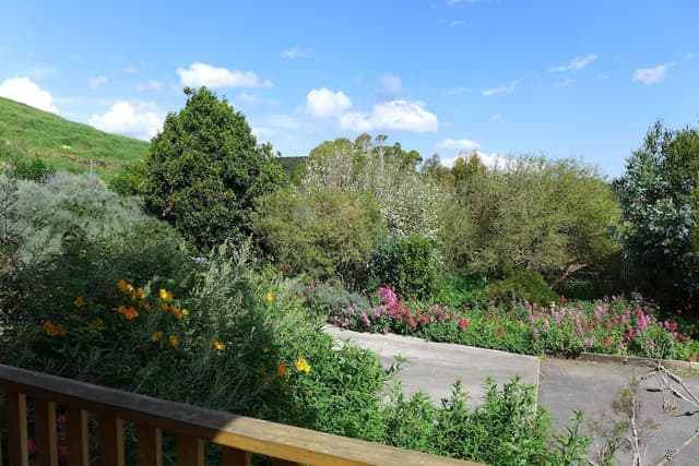 Garden Suite