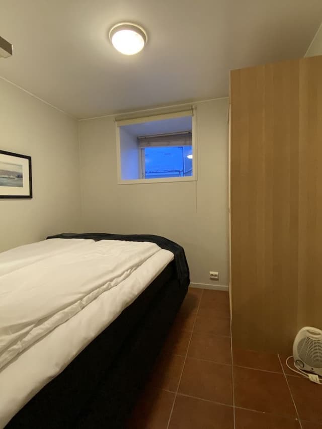 Economy Apartment, 1 Queen Bed with Sofa bed, Refrigerator & Microwave