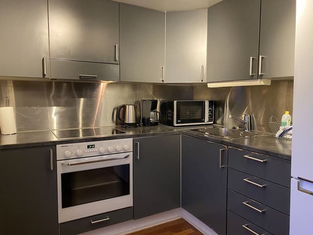 Economy Apartment, 1 Queen Bed with Sofa bed, Refrigerator & Microwave