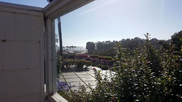 Garden View King Room