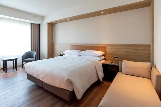 Room, 1 King Bed