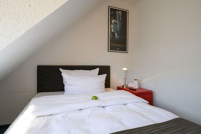 Comfort Single Room