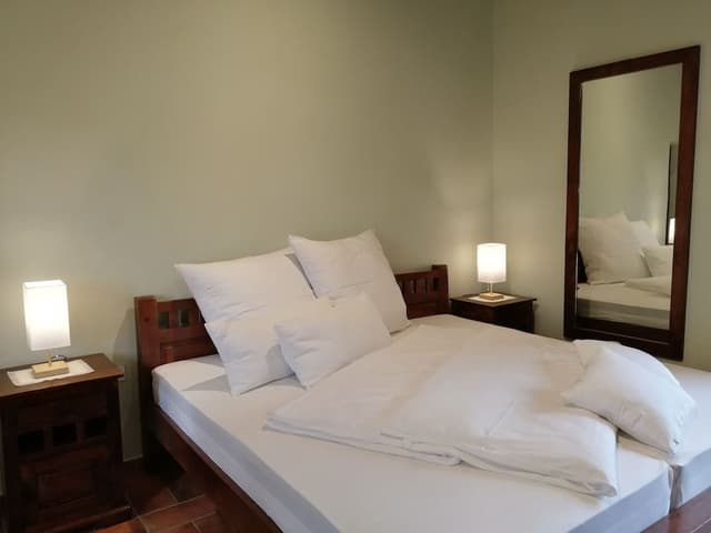 Traditional Apartment, 1 King Bed with Sofa bed