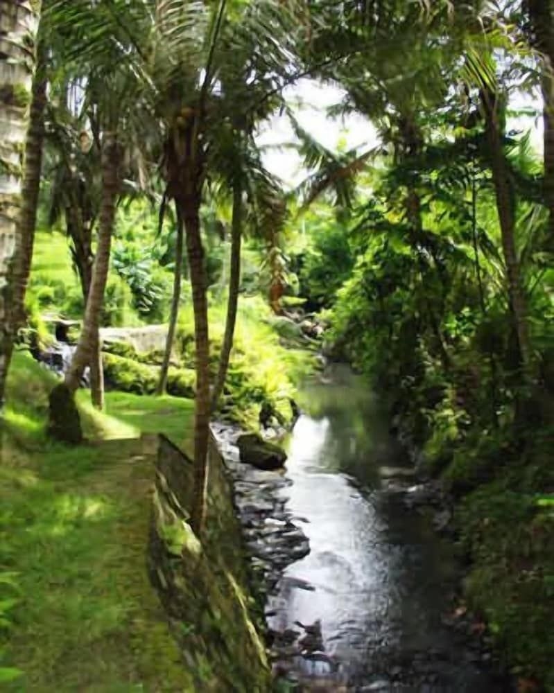 The Bali Purnati Center For The Arts1