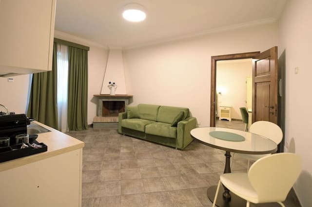 Superior Apartment, Kitchen, Park View