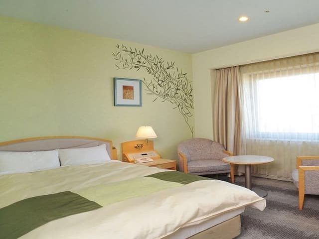 Superior Double Room, Non Smoking