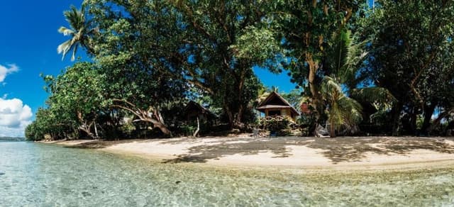 Studio Beachfront