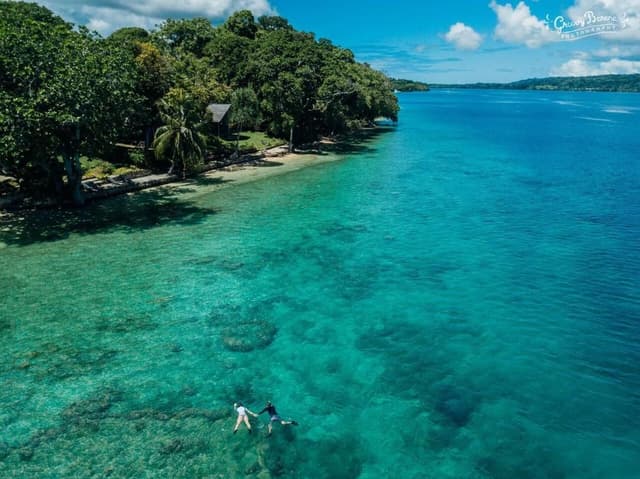 1 Bedroom Beachfront