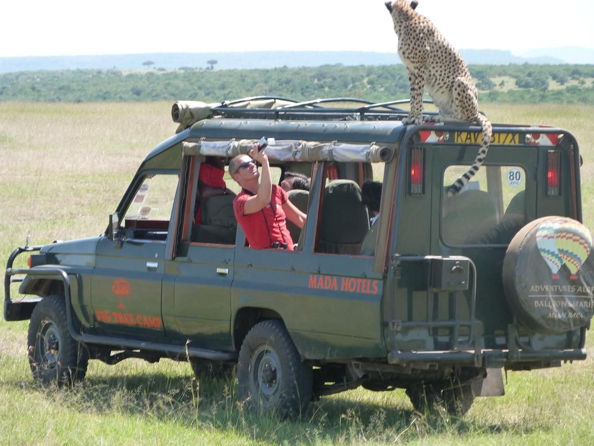 Fig Tree Camp - Maasai Mara0