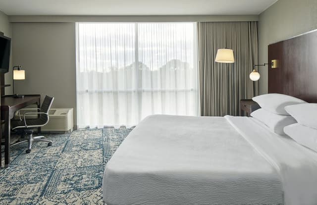 Room, 1 Queen Bed