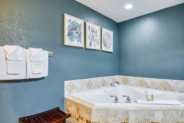 One Bedroom Suite with Spa