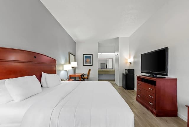 Standard Room, 1 King Bed, Non Smoking