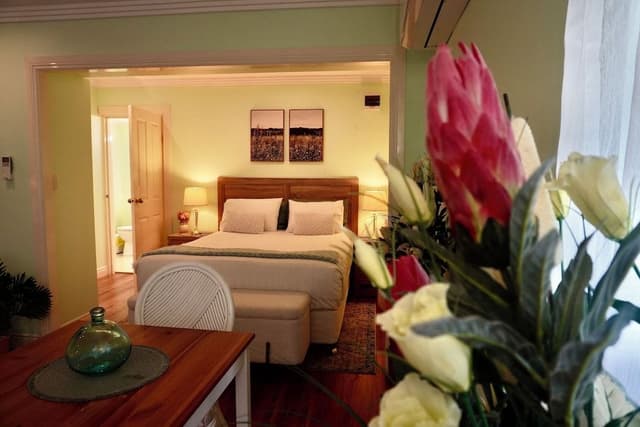 Premium Apartment, 1 Bedroom, Garden View