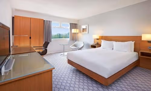 Double Hilton Guest Room