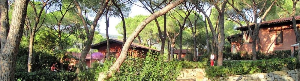 Camping Lacona Pineta1