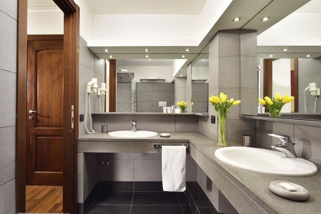 Deluxe Double or Twin Room (City View)