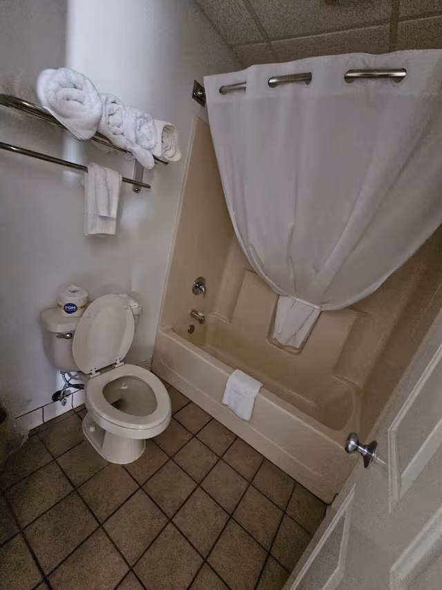 Standard Room, 1 King Bed