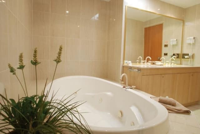 Executive Spa Suite